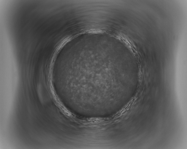 X0000116430145200912151025