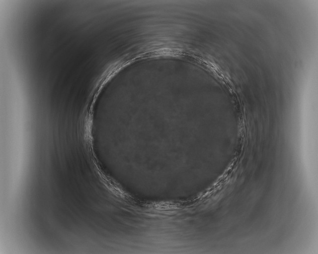 X0000116430146200912151025