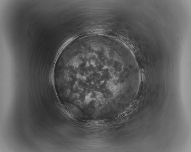 X0000116430147200912151025