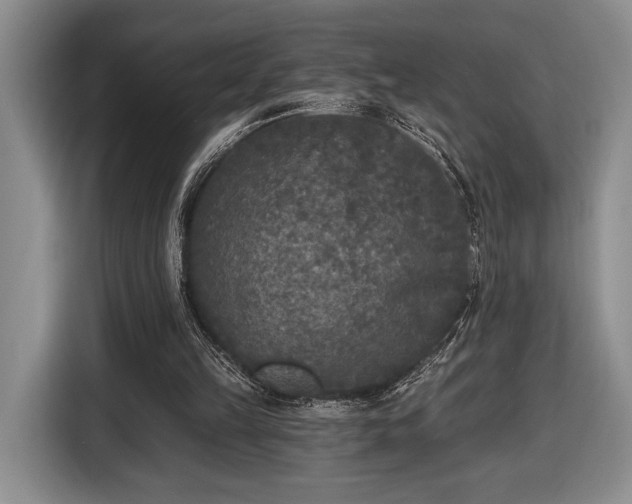 X0000116430149200912151025