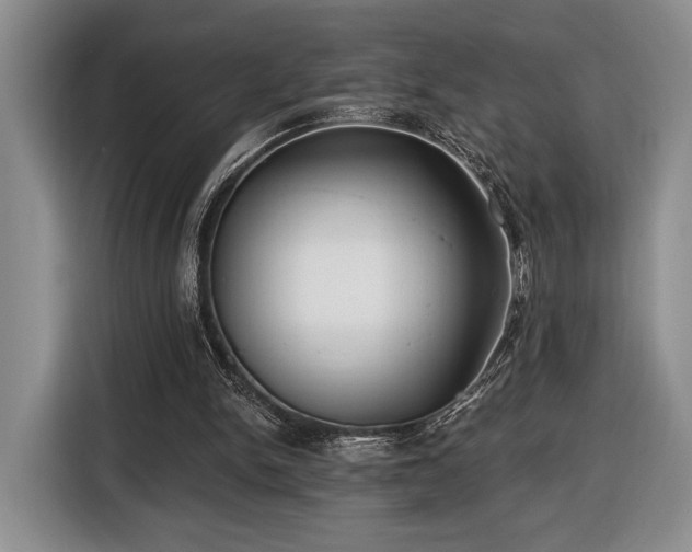 X0000116430150200912151025