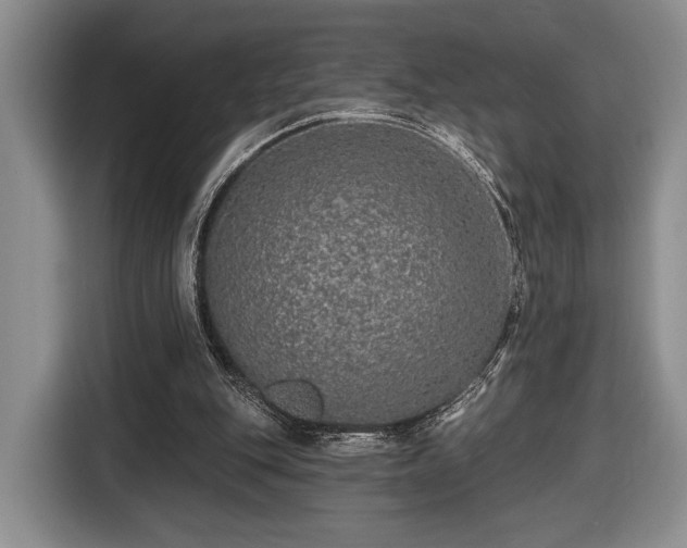 X0000116430151200912151025