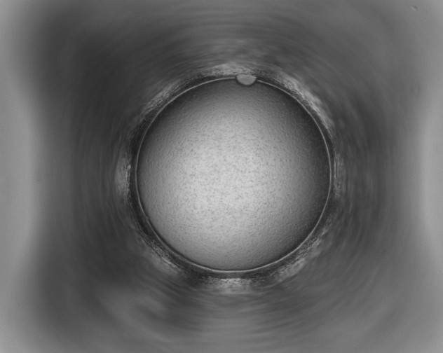 X0000116430153200912151025