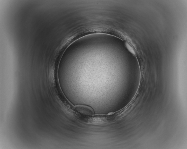 X0000116430154200912151025