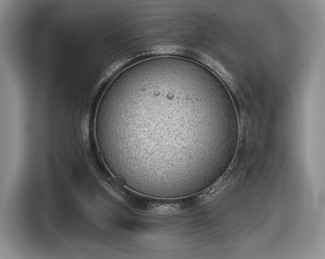 X0000116430155200912151025