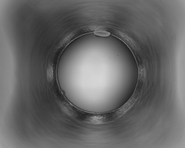 X0000116430158200912151025