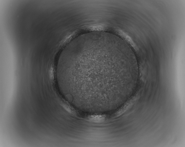 X0000116430161200912151025