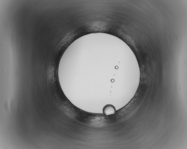 X0000116430162200912151025