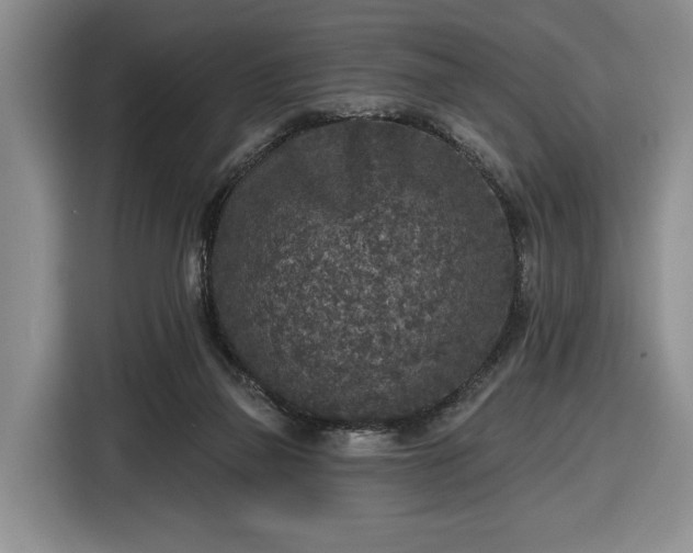 X0000116430165200912151025