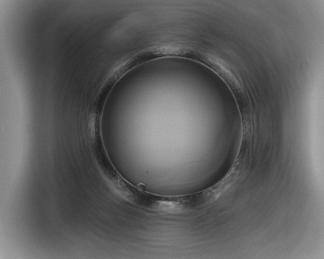 X0000116430167200912151025