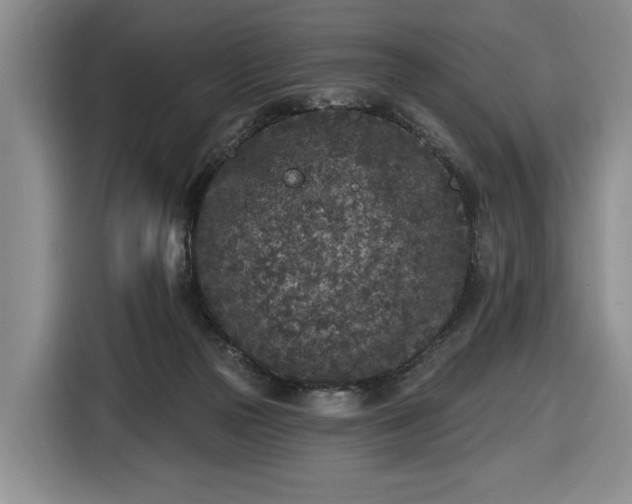 X0000116430169200912151025