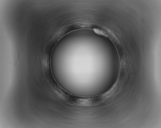 X0000116430170200912151025