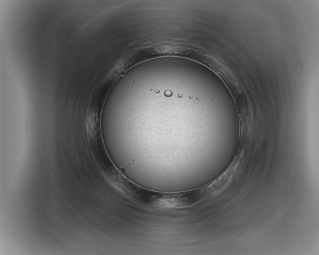 X0000116430171200912151025