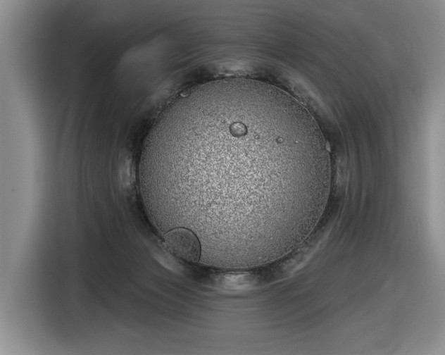 X0000116430173200912151025