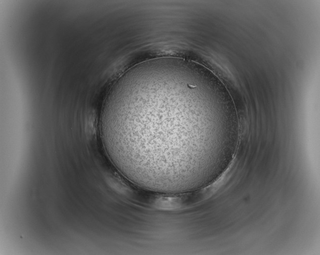 X0000116430174200912151025
