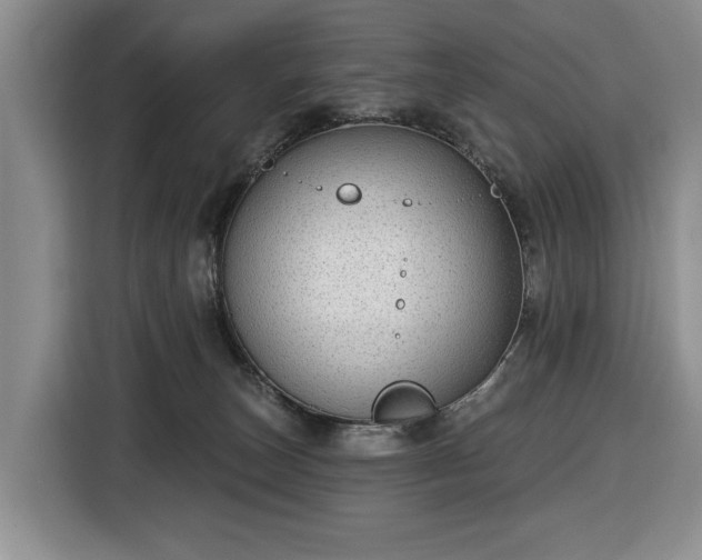 X0000116430179200912151025