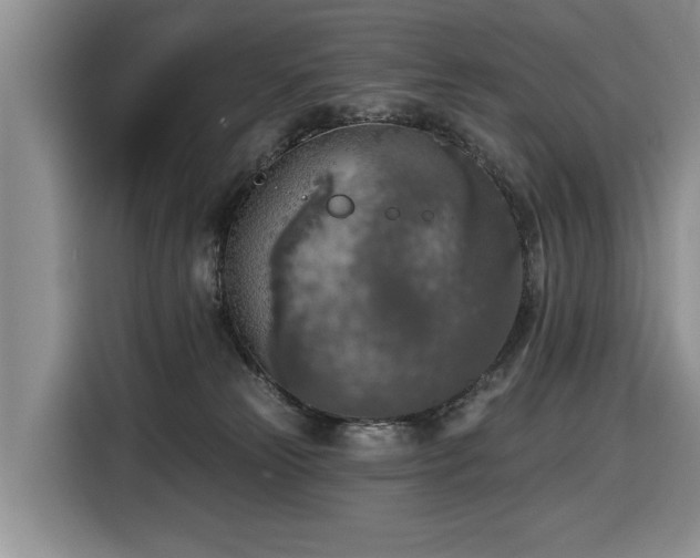 X0000116430181200912151025