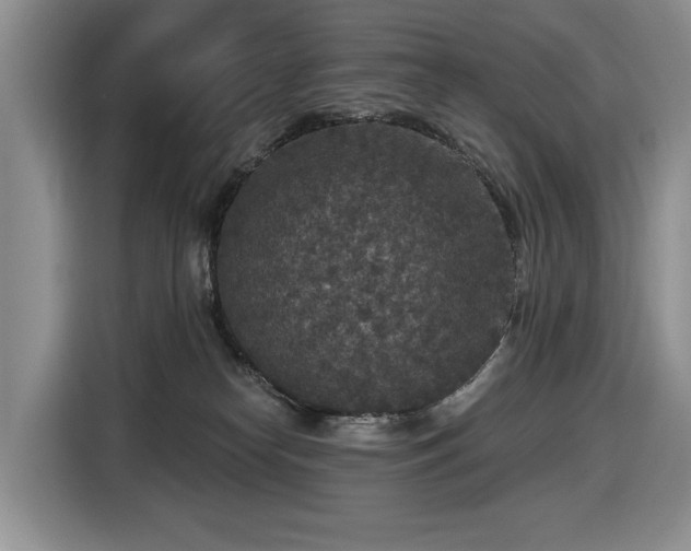 X0000116430182200912151025