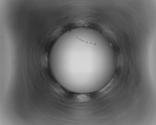 X0000116430183200912151025