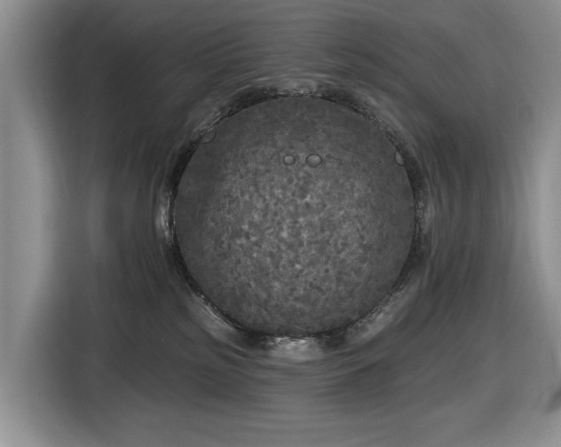 X0000116430185200912151025
