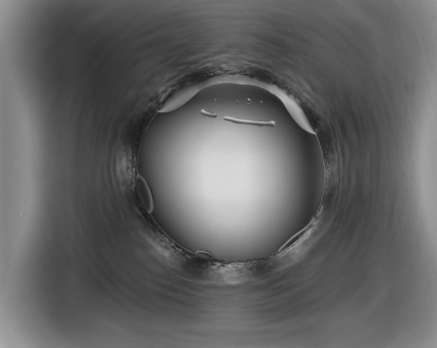 X0000116430186200912151025