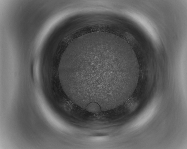 X0000116430189200912151025
