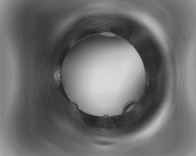 X0000116430190200912151025