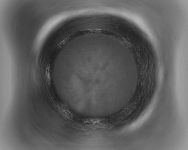 X0000116430194200912151025