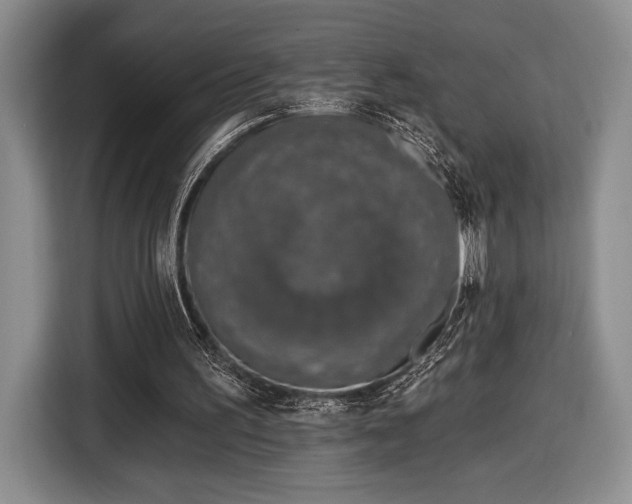 X0000116430195200912151025