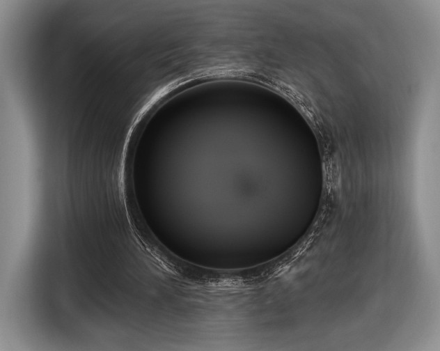 X0000116430196200912151025