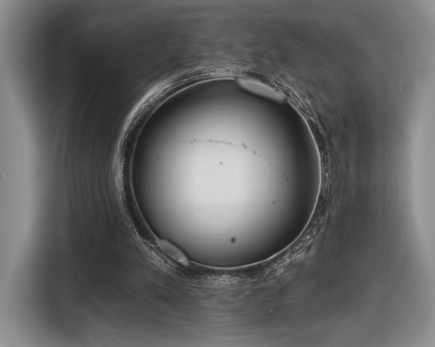 X0000116430197200912151025