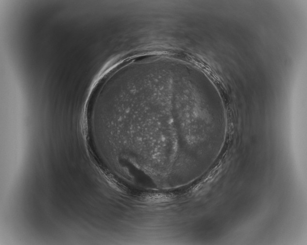 X0000116430198200912151025