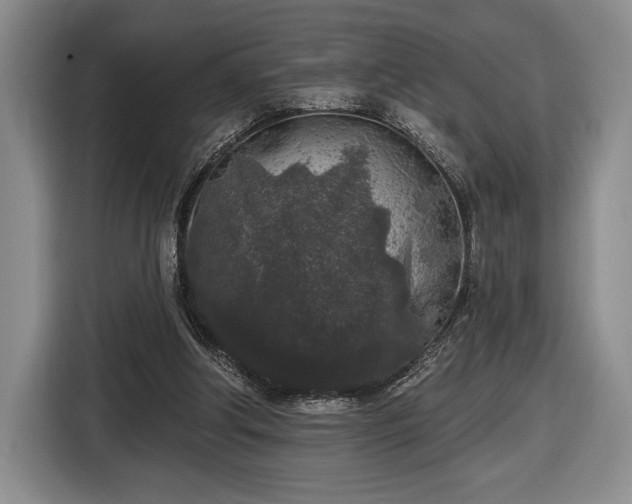 X0000116430202200912151025
