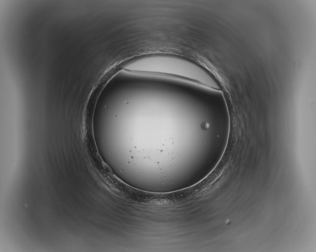 X0000116430203200912151025