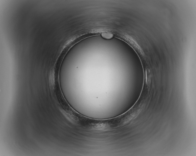 X0000116430204200912151025