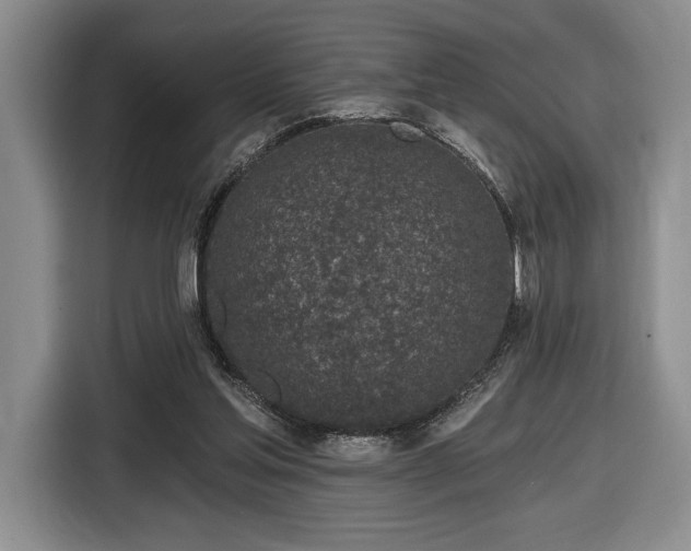 X0000116430205200912151025