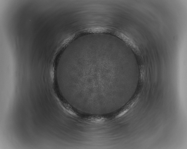 X0000116430206200912151025