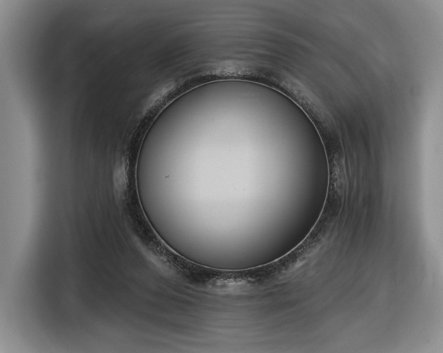 X0000116430208200912151025