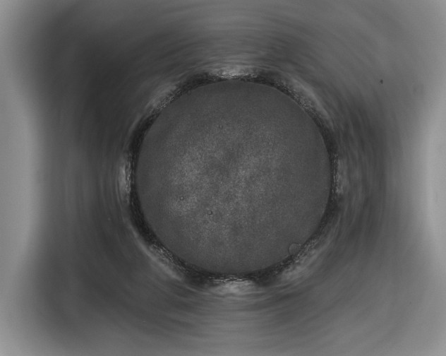 X0000116430210200912151025