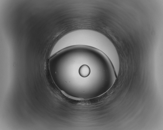 X0000116430211200912151025