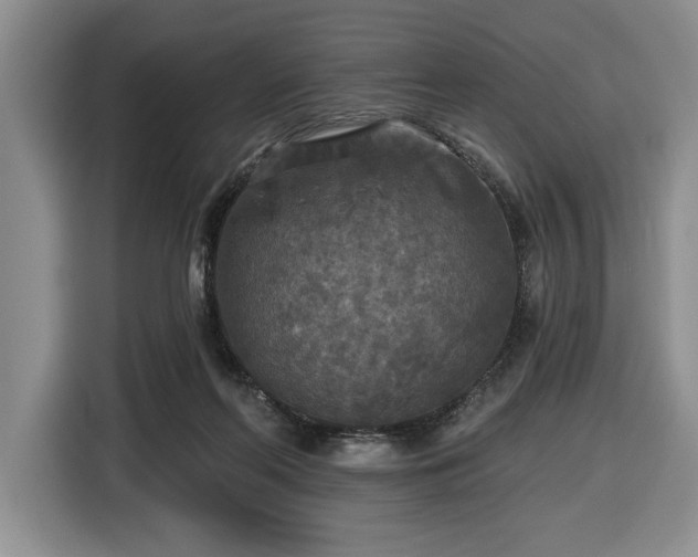 X0000116430214200912151025