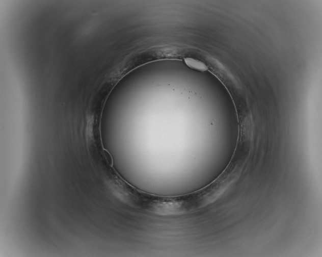 X0000116430217200912151025