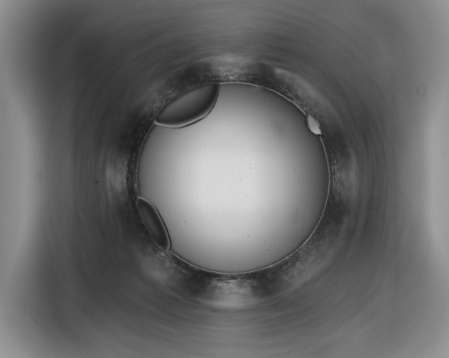 X0000116430221200912151025