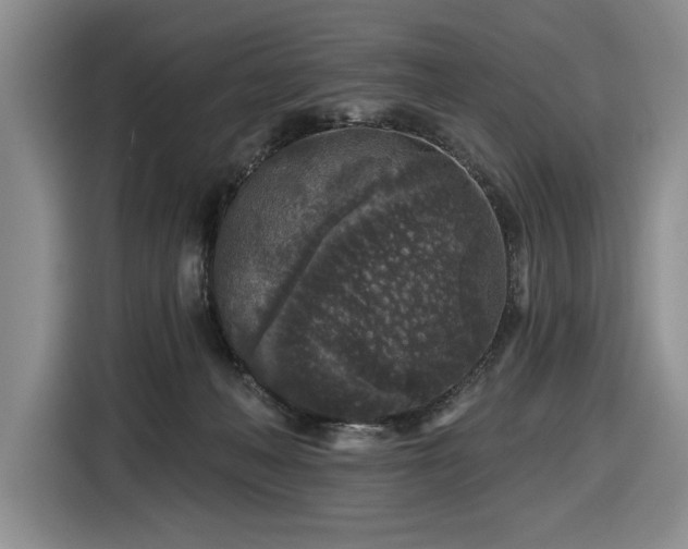 X0000116430222200912151025
