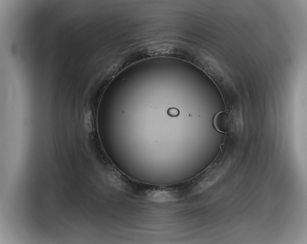 X0000116430224200912151024
