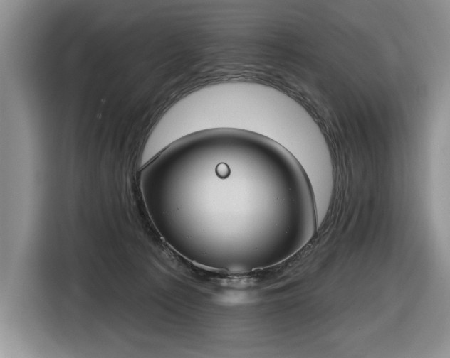 X0000116430225200912151024