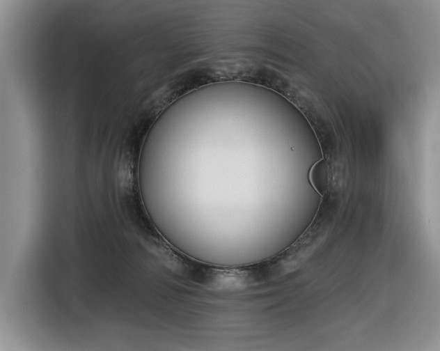X0000116430226200912151024