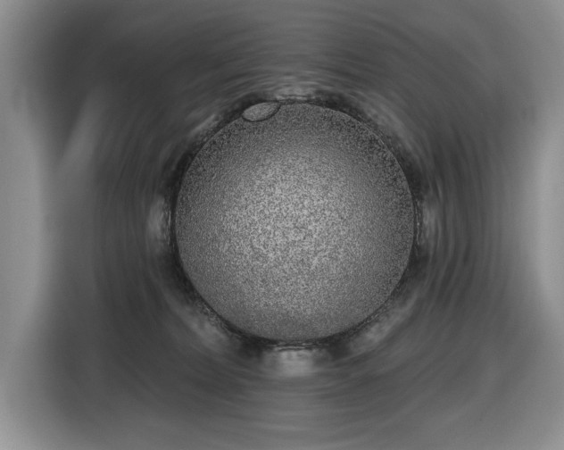X0000116430228200912151024