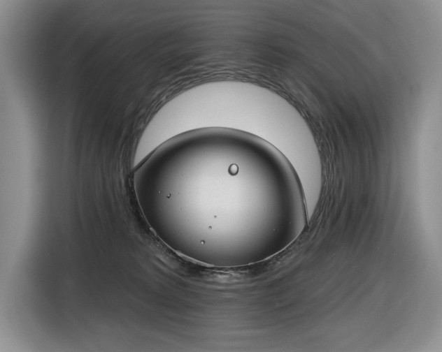 X0000116430229200912151024