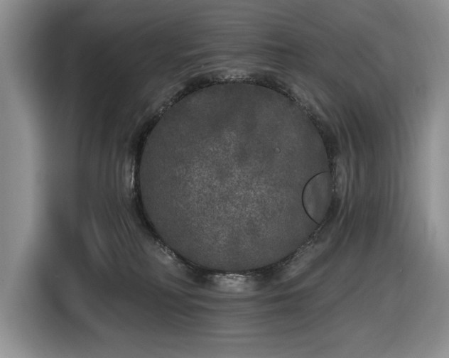 X0000116430230200912151024